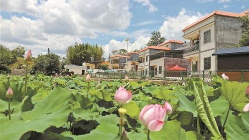 深圳第一新聞門戶網站