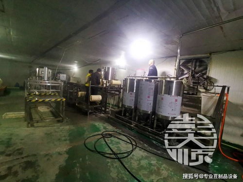豆腐皮生產(chǎn)線設(shè)備與辦公設(shè)備及消耗品 生產(chǎn)與管理的雙重效能解析