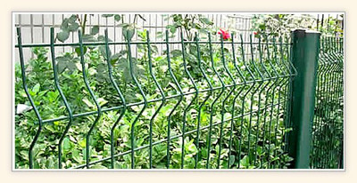 防護網 守護與界限的辯證